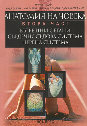 Анатомия на човека - Втора част. Вътрешни органи. Сърдечносъдова система. Нервна система
