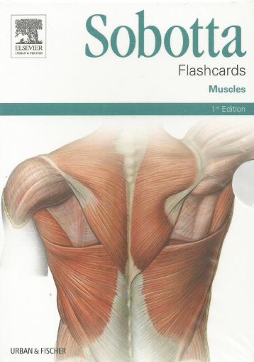 Sobotta Flashcards Muscles