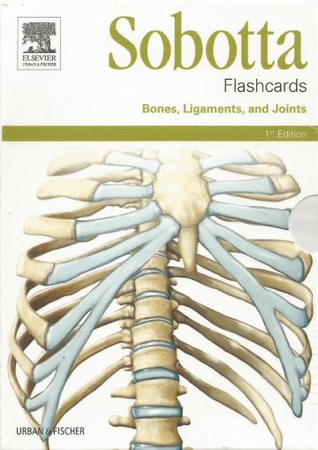 Sobotta Flashcards Bones, Ligaments, and Joints
