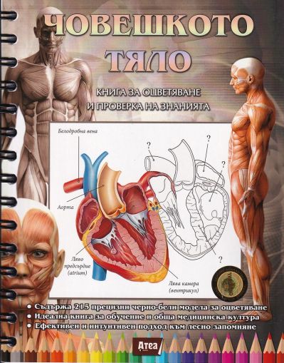 Човешкото тяло - книга за оцветяване и проверка на знанията