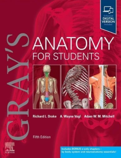 Gray's Anatomy for Students, 5th Edition