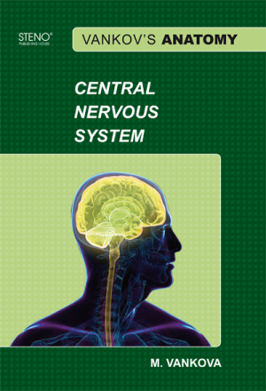 Vankov's Anatomy - Central Nervous System - Textbook