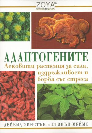 Адаптогените: Лековити растения за сила, издръжливост и борба със стреса