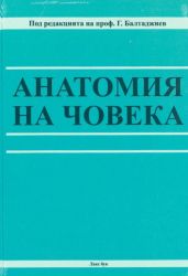 Анатомия на човека 2026 г.