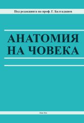 Анатомия на човека 2026 г.