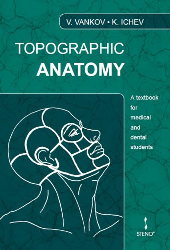 Topographic Anatomy