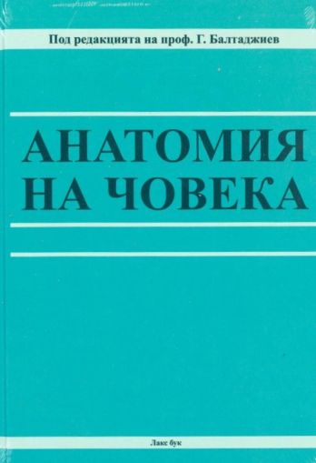 Анатомия на човека 2026 г.