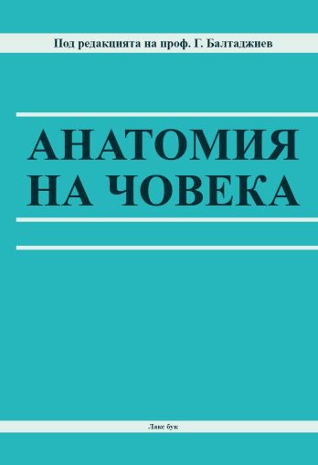 Анатомия на човека 2026 г.