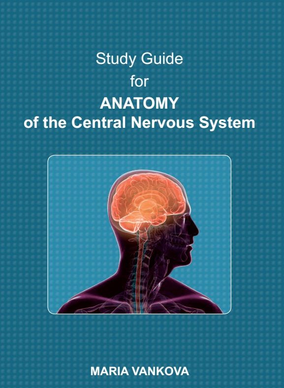 Study Guide For Anatomy Of The Central Nervous System