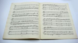 MOZART Concerto In La K. 488 PER 2 PIANOFORTI (Montani)