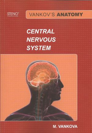 Vankov's Anatomy - Central Nervous System - 2017