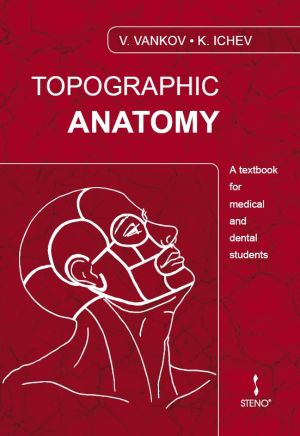 Topographic Anatomy