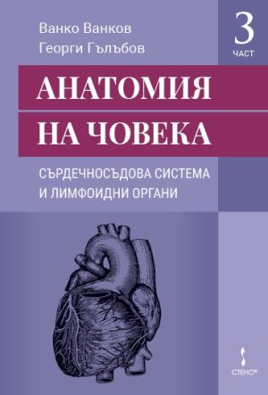 Анатомия на човека Част 3: Сърдечносъдова система и лимфоидни органи
