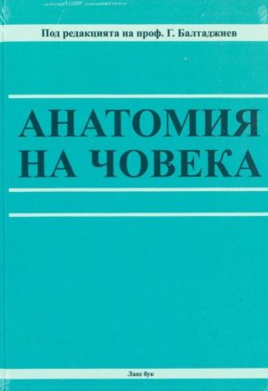 Анатомия на човека 2026 г.